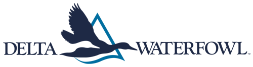 Delta Waterfowl Foundation